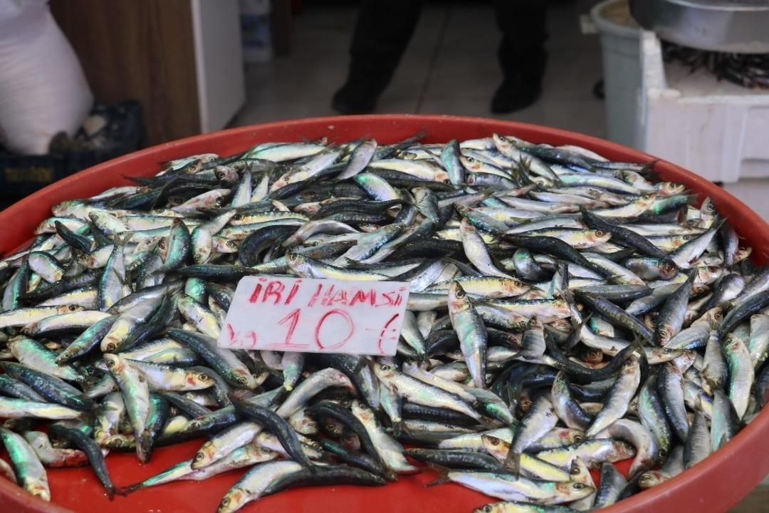 Sivas&rsquo;ta hamsi y&uuml;zleri g&uuml;ld&uuml;rd&uuml;