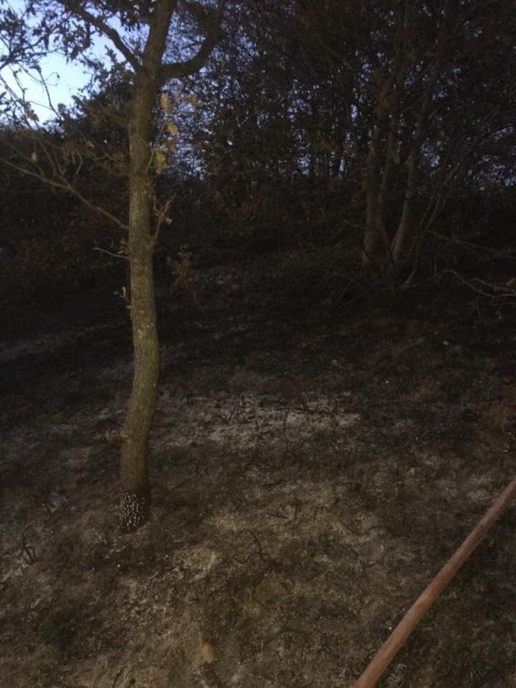 Ormanlık alanda çıkan yangın söndürüldü G4