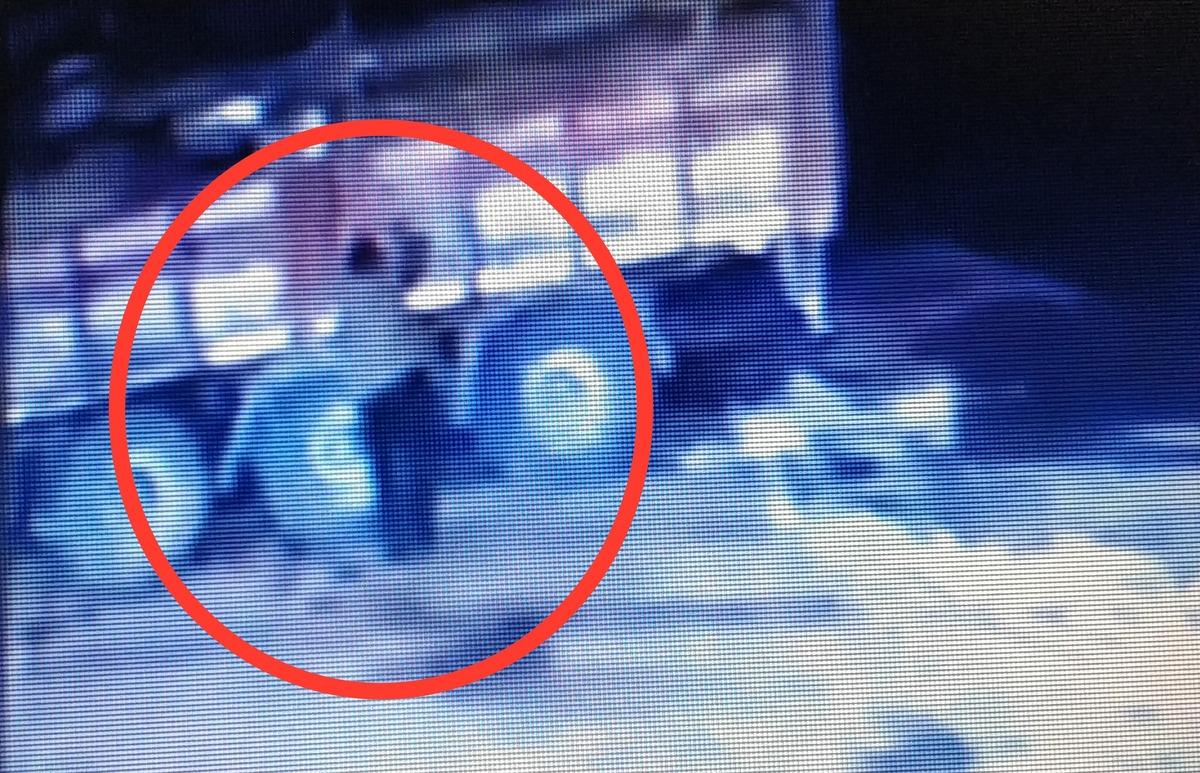 &Uuml;zerine kamyondan tomruk d&uuml;şen şof&ouml;r hayatını kaybetti