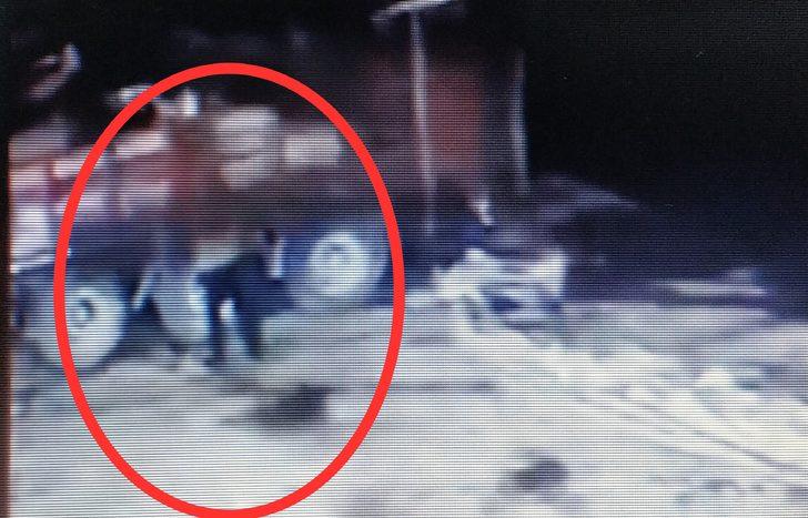 Üzerine kamyondan tomruk düşen şoför hayatını kaybetti G1