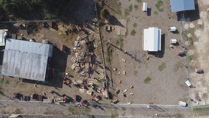 Türkiye'nin acı gerçeği... Yüzlerce köpek sokağa terk edildi G4