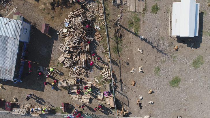 Türkiye'nin acı gerçeği... Yüzlerce köpek sokağa terk edildi G5