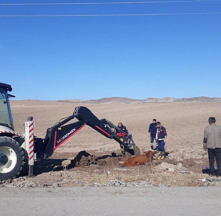Özalp’ta inek kurtarma operasyonu G4