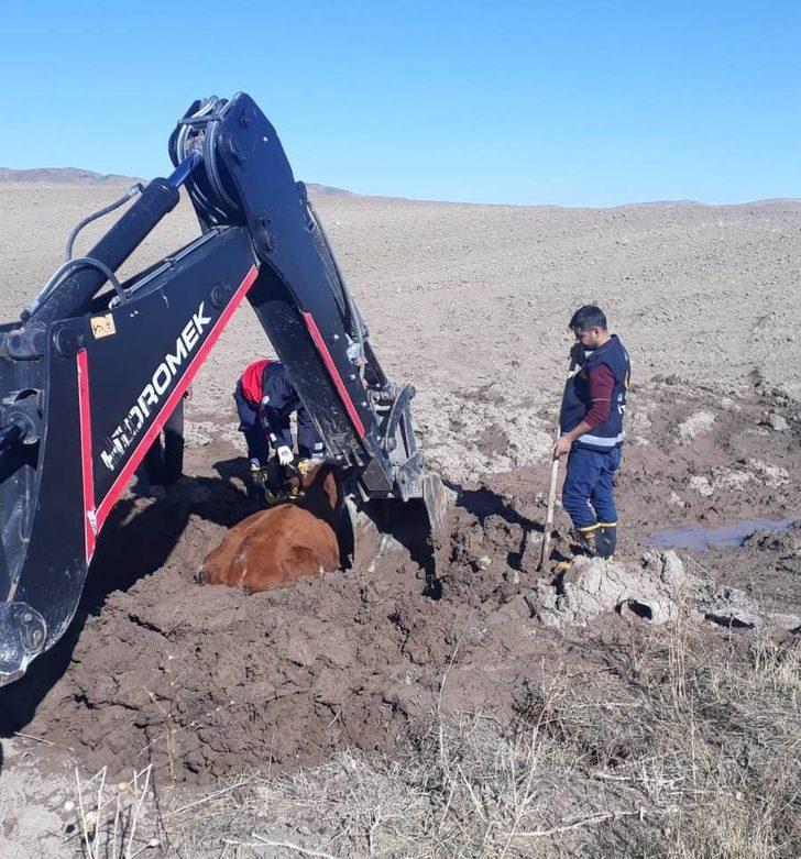 Özalp’ta inek kurtarma operasyonu G5