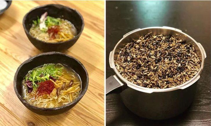 Hamam böceği ile aşk yaşayan genç: Onun hayalini kuruyorum! G1