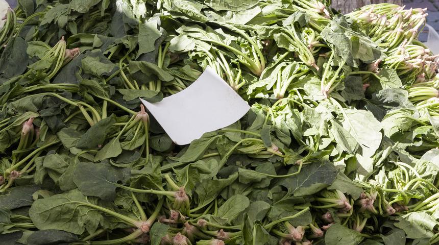 Ispanak zehirlenmesi hakkında iki önemli iddia!