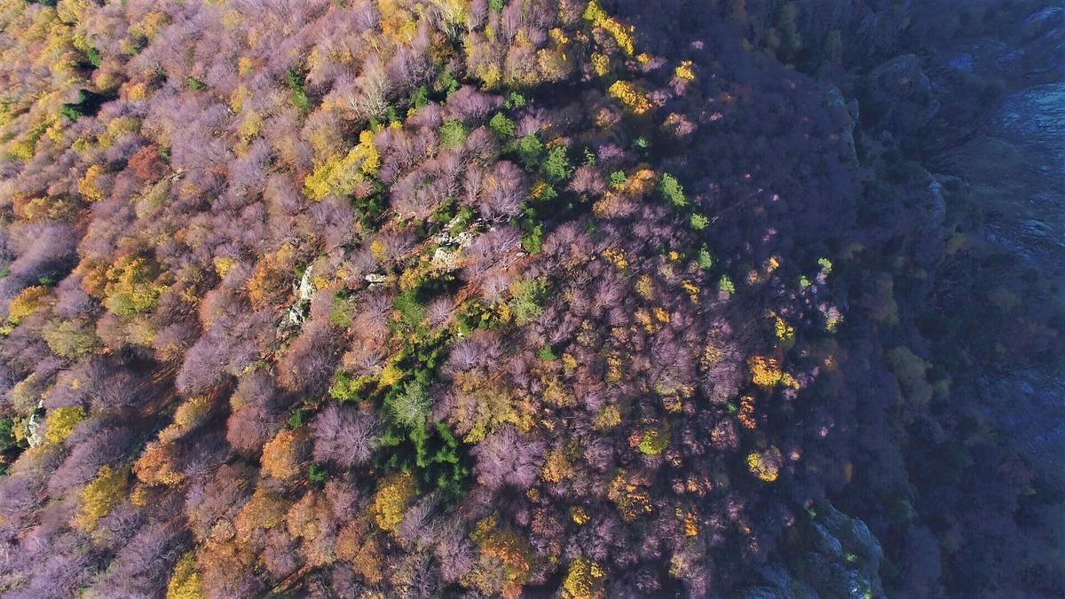 Uludağ'da renk c&uuml;mb&uuml;ş&uuml;