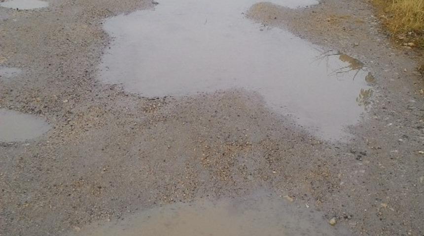 Stabilize yol k&ouml;stebek yuvasına d&ouml;nd&uuml;