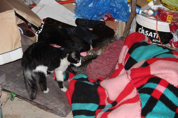 Aydın'da kaldırımda geçen dram dolu bir hayat G2