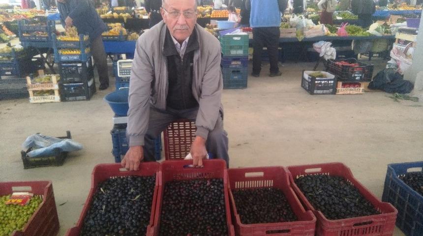 Hisarcık&rsquo;ta salamura zeytin yapımı yaygınlaştı