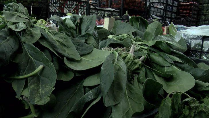 Fotoğraflar //  Bayrampaşa Halinde ıspanak numunesi alındı G2