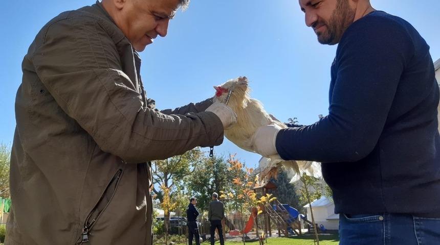 Hakkari&rsquo;de evcil hayvanlar sağlık kontrol&uuml;nden ge&ccedil;irildi