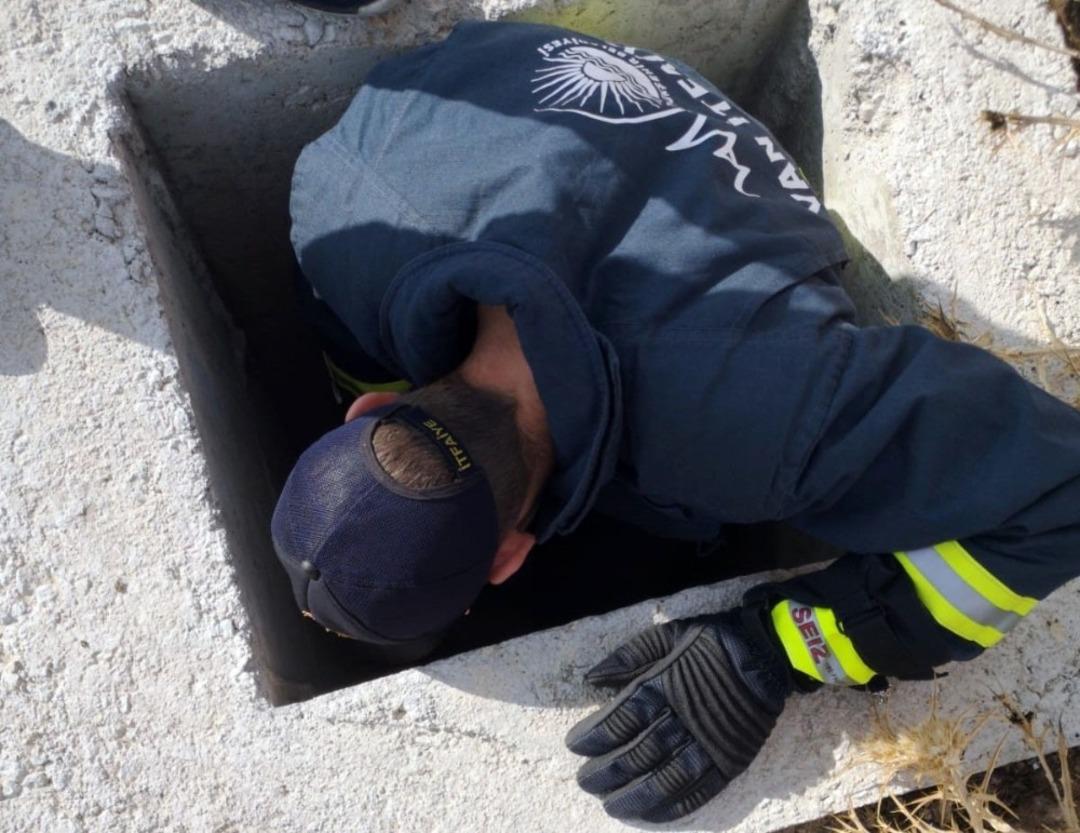 &Ccedil;ukura d&uuml;şen yavru k&ouml;peği itfaiye ekipleri kurtardı