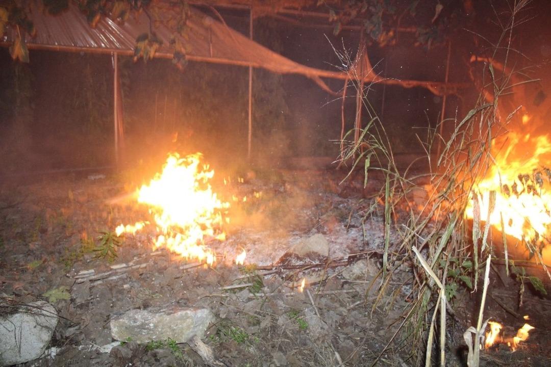 Anız yangını seraya sı&ccedil;radı