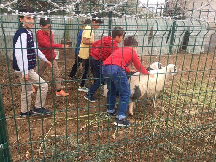 İlkokul öğrencileri DÜ Veteriner Fakültesi’ni gezdi G1