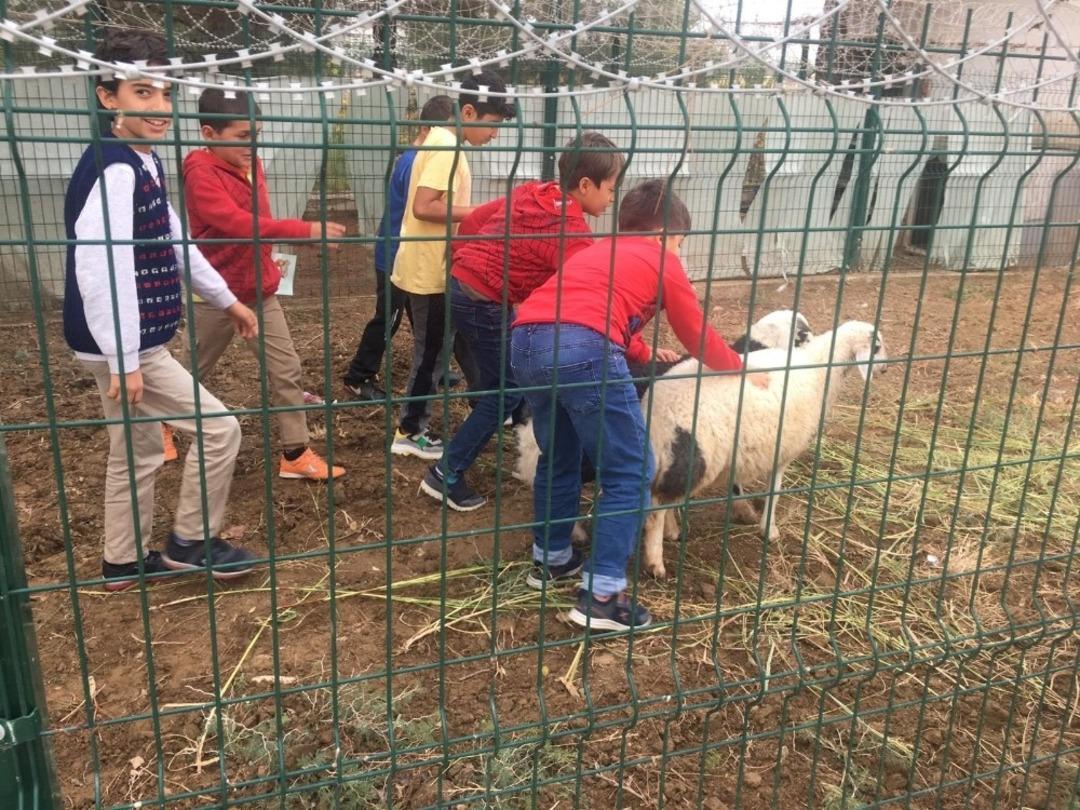 İlkokul &ouml;ğrencileri D&Uuml; Veteriner Fak&uuml;ltesi&rsquo;ni gezdi