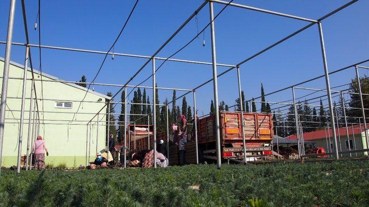 2023 noktada, 11 milyon fidanla geleceğe nefes G1