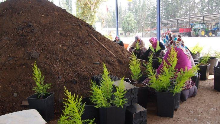 2023 noktada, 11 milyon fidanla geleceğe nefes G2