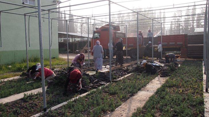 2023 noktada, 11 milyon fidanla geleceğe nefes G3