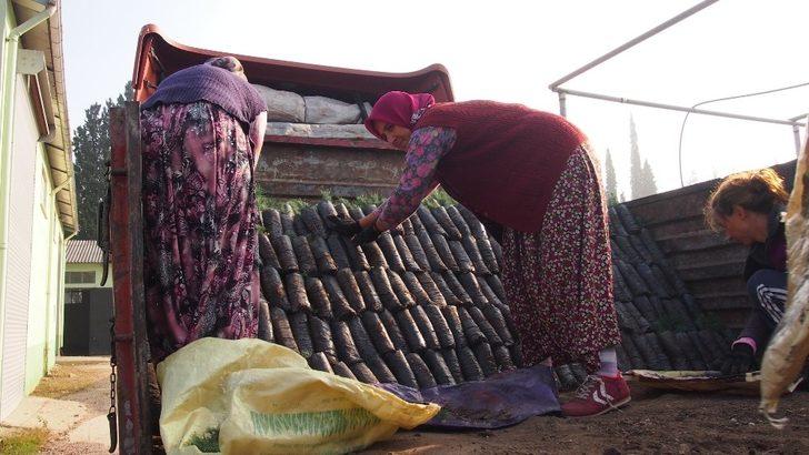 2023 noktada, 11 milyon fidanla geleceğe nefes G4