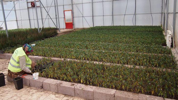 2023 noktada, 11 milyon fidanla geleceğe nefes G5