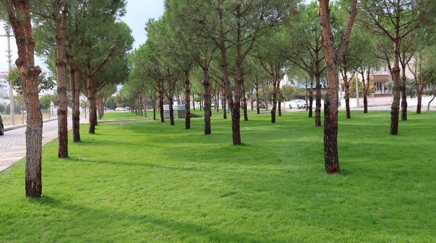 Yunusemre&rsquo;den 2 mahallede &ccedil;imlendirme &ccedil;alışması