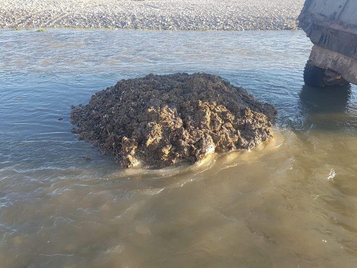 Dicle Nehri’ne hayvan pisliği atan şahıslar hakkında yasal işlem başlatıldı G5