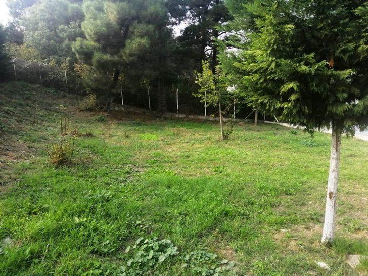 Okullara hobi bostanları kurulacak G3