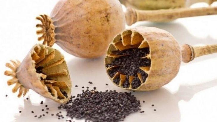 Afyonkarahisar Ekim ayında 50 milyon dolarlık ihracat yaptı G2