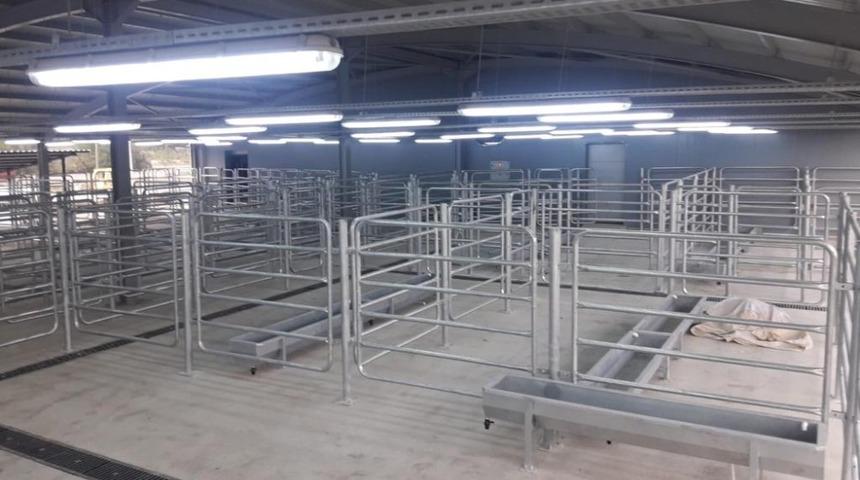 Fatsa Mezbaha ve Hayvan Pazarı açılışa hazır