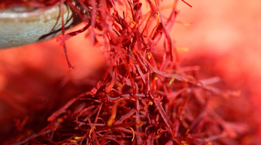 Safran nedir, safranın faydaları nelerdir?