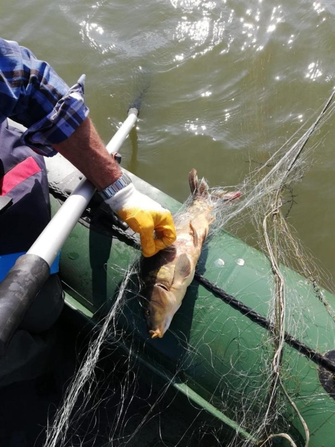 Bolu&rsquo;da, ka&ccedil;ak avla m&uuml;cadelede g&ouml;lden 300 metre ağ &ccedil;ıkarıldı