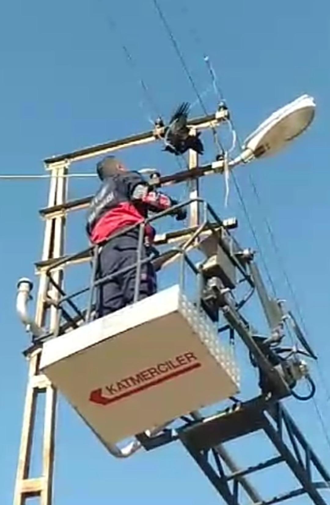 Elektrik tellerine takılan Karga&rsquo;yı itfaiye ekipleri kurtardı