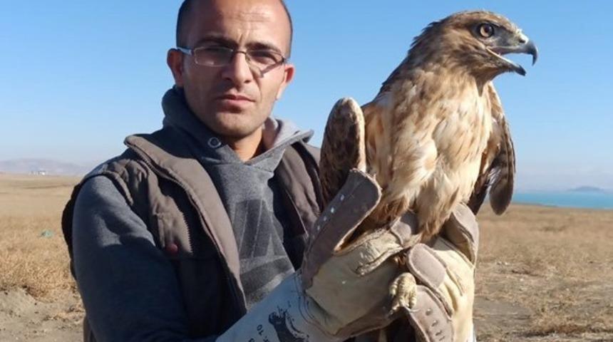 Kızıl Şahin tekrar &ouml;zg&uuml;r