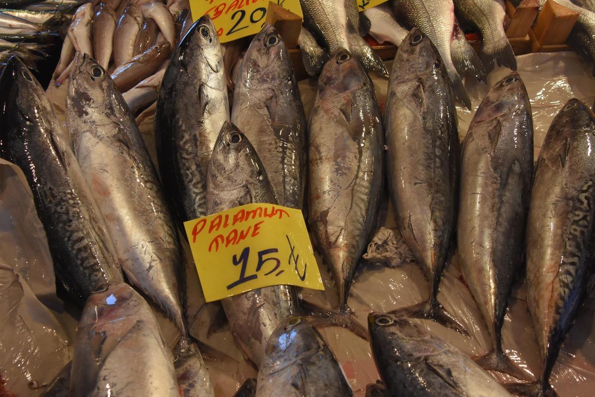 Palamut diye tombik satıyorlar