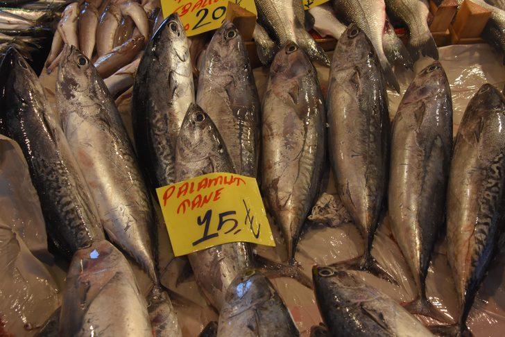 Palamut diye tombik satıyorlar G4