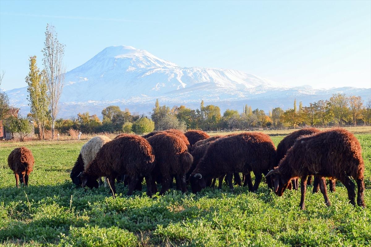 Ağrı Dağı beyaz gelinliğiyle b&uuml;y&uuml;l&uuml;yor
