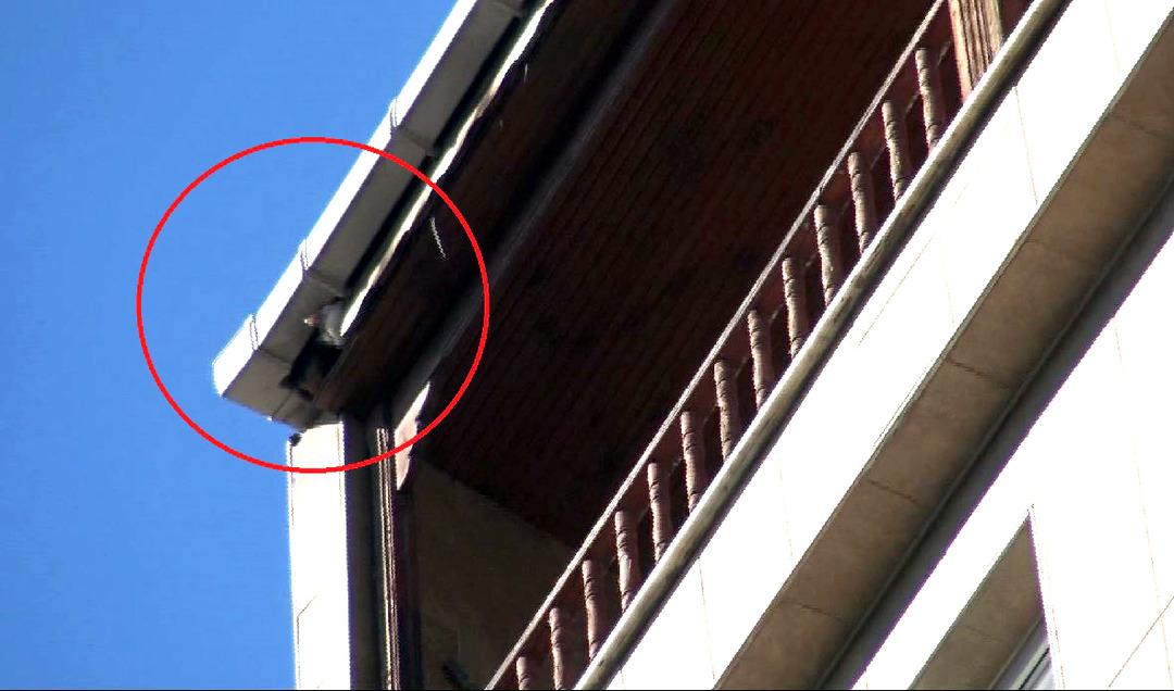 Avcılar'da itfaiye seferber oldu, &ccedil;atıdaki kedi alınamadı