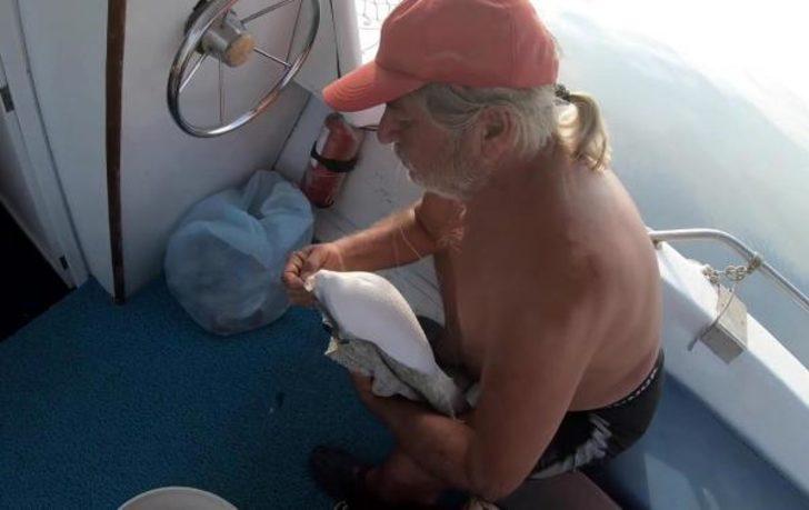 Balon balığıyla ilgili kritik uyarı! G4