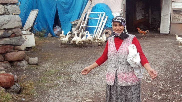 Ardahan’da Kazcılık Eylem Planı çerçevesinde ihtiyaç sahibi vatandaşlara damızlık kaz dağıtıldı G2