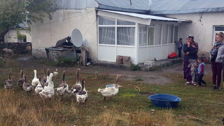 Ardahan’da Kazcılık Eylem Planı çerçevesinde ihtiyaç sahibi vatandaşlara damızlık kaz dağıtıldı G5