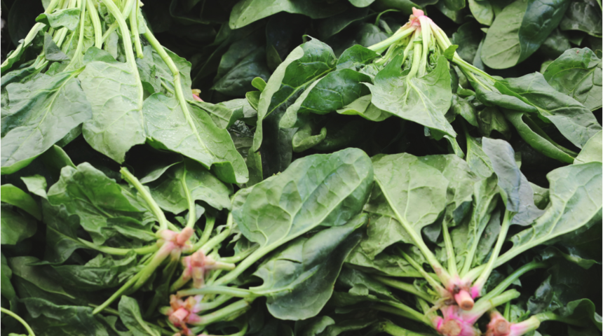 Son g&uuml;nlerin en tartışılan sebzesi ıspanak ama faydaları saymakla bitmiyor