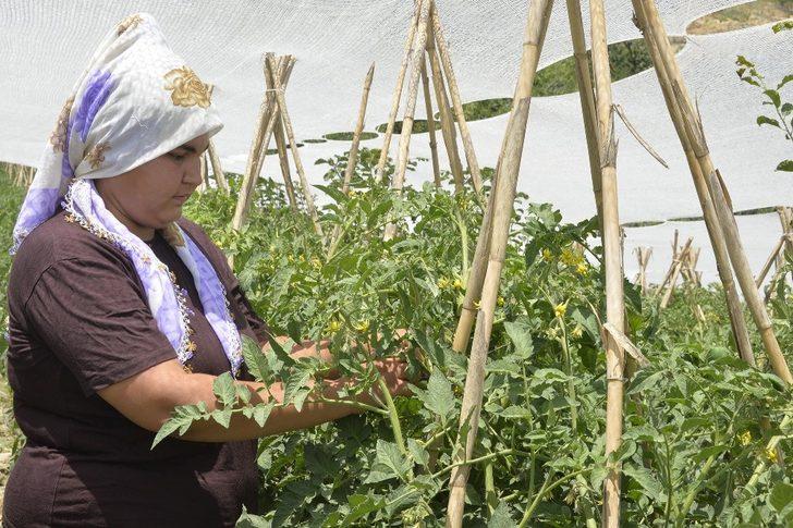 Mersin Büyükşehir Belediyesi’nden kırsal kalkınmaya destek G2