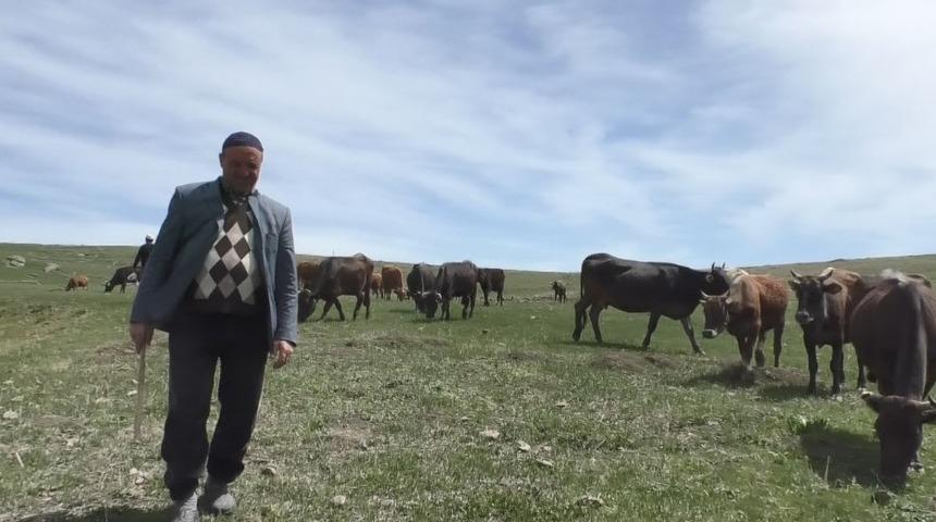 Doğu’ya ithal çoban desteği