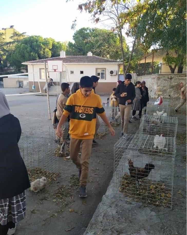 İlkokul öğrencileri kanatlı hayvan türleriyle tanıştı G1