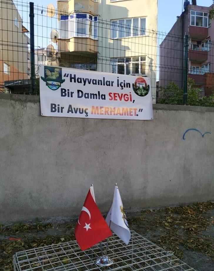 İlkokul öğrencileri kanatlı hayvan türleriyle tanıştı G4