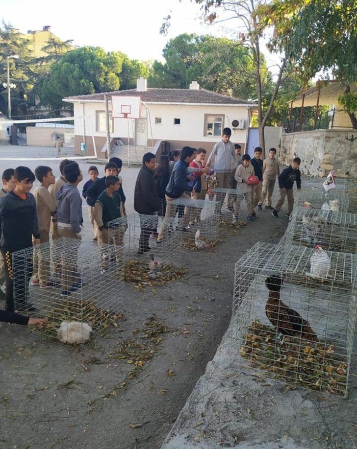İlkokul öğrencileri kanatlı hayvan türleriyle tanıştı G5