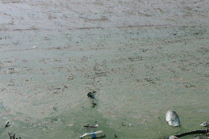 Atatürk Barajı Gölü'nün rengi yeşil oldu!  G2