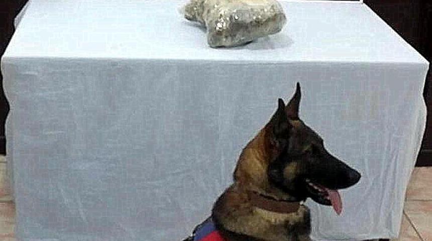 Erzincan’da 875 gram kubar esrar ele geçirildi