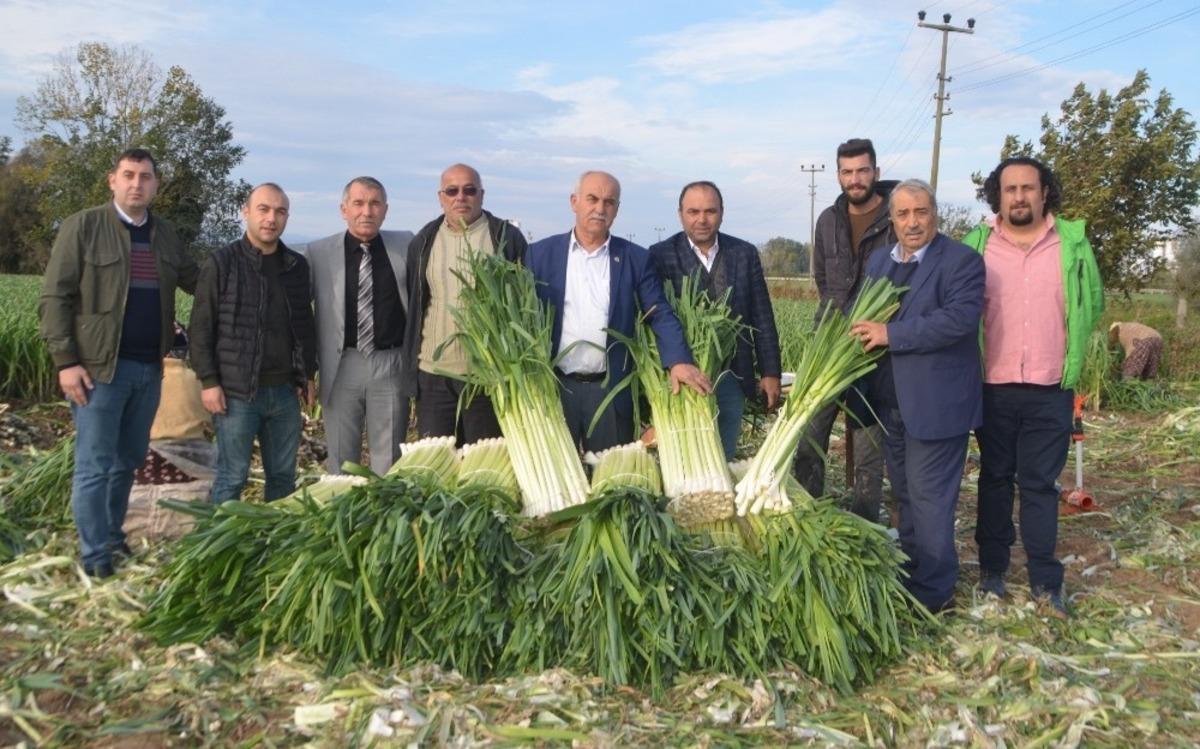 Pırasa &uuml;reticileri fiyatlardan memnun değil